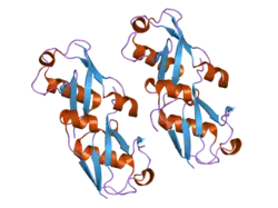 2gbk: Crystal Structure of the 9-10 MoaD Insertion Mutant of Ubiquitin