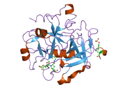 2gde: Thrombin in complex with inhibitor