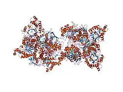2gk1: X-ray crystal structure of NGT-bound HexA