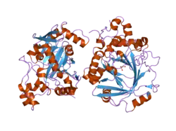 2gp3: Crystal structure of the catalytic core comain of jmjd2a