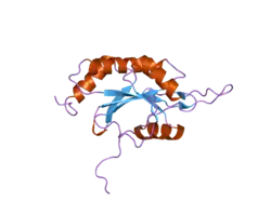 2gql: Solution structure of Human Ni(II)-Sco1