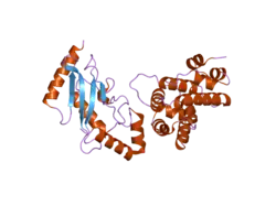2grq: Crystal Structure of human RanGAP1-Ubc9-D127A