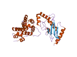 2grr: Crystal Structure of human RanGAP1-Ubc9-D127S