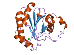 2gs3: Crystal structure of the selenocysteine to glycine mutant of human glutathione peroxidase 4(GPX4)