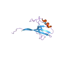 2h2c: Crystal Structure of ZO-1 PDZ1 Bound to a Phage-Derived Ligand (WRRTTWV)