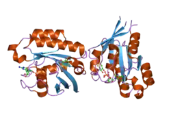 2hei: Crystal structure of human RAB5B in complex with GDP