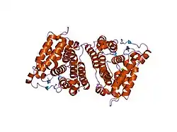 2hv6: Crystal structure of the phosphotyrosyl phosphatase activator