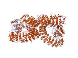 2iae: Crystal structure of a protein phosphatase 2A (PP2A) holoenzyme.