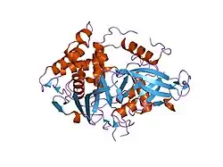 2ibi: Covalent Ubiquitin-USP2 Complex
