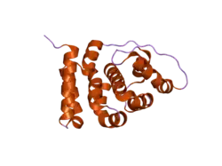 2iu1: CRYSTAL STRUCTURE OF EIF5 C-TERMINAL DOMAIN
