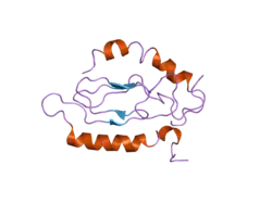 2jod: Pac1-Rshort N-terminal EC domain Pacap(6-38) complex