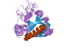 2jp2: Solution structure and resonance assignment of the N-terminal EVH1 domain from the human Spred2 protein (Sprouty-related protein with EVH1 domain isoform 2)