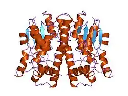 2ljr: GLUTATHIONE TRANSFERASE APO-FORM FROM HUMAN
