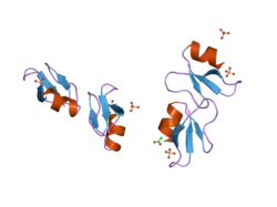 2nlc: Human beta-defensin-1 (mutant Ser8Ala)