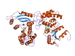 2o3q: Structural Basis for Formation and Hydrolysis of Calcium Messenger Cyclic ADP-ribose by Human CD38