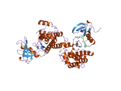 2oiq: Crystal Structure of chicken c-Src kinase domain in complex with the cancer drug imatinib.