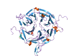 2oit: Crystal Structure of the N-terminal Domain of the Human Proto-oncogene Nup214/CAN