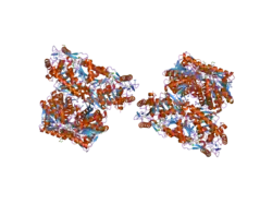 2onp: Arg475Gln Mutant of Human Mitochondrial Aldehyde Dehydrogenase, complexed with NAD+