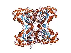 2ot0: Fructose-1,6-bisphosphate aldolase from rabbit muscle in complex with a C-terminal peptide of Wiskott-Aldrich syndrome protein