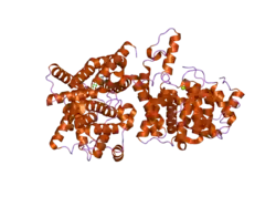 2our: crystal structure of PDE10A2 mutant D674A in complex with cAMP