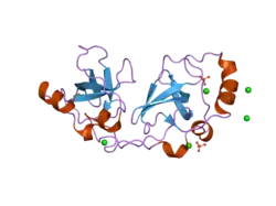 2p0k: Crystal structure of SCMH1
