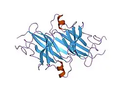 2try: TERTIARY STRUCTURES OF THREE AMYLOIDOGENIC TRANSTHYRETIN VARIANTS AND IMPLICATIONS FOR AMYLOID FIBRIL FORMATION