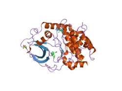 2uw6: STRUCTURE OF PKA-PKB CHIMERA COMPLEXED WITH (S)-2-(4-CHLORO-PHENYL)-2-(4-1H-PYRAZOL-4-YL)-PHENYL)-ETHYLAMINE