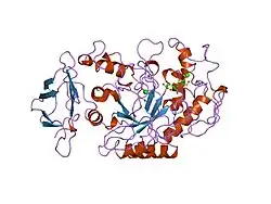3cpu: SUBSITE MAPPING OF THE ACTIVE SITE OF HUMAN PANCREATIC ALPHA-AMYLASE USING SUBSTRATES, THE PHARMACOLOGICAL INHIBITOR ACARBOSE, AND AN ACTIVE SITE VARIANT