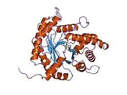 4ald: HUMAN MUSCLE FRUCTOSE 1,6-BISPHOSPHATE ALDOLASE COMPLEXED WITH FRUCTOSE 1,6-BISPHOSPHATE