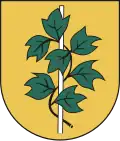 Coat of arms of Bluszczów