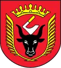 Coat of arms of Gmina Wiskitki