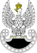 Insignia of the Polish Special Forces