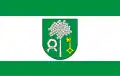 Flag of Gmina Głowaczów