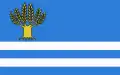 Flag of Gmina Wietrzychowice
