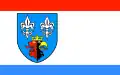 Flag of Bełchatów County