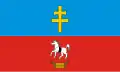 Flag of Włoszczowa County