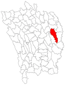 Location in Vaslui County