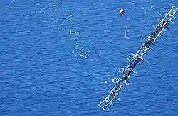 a craft broken into many pieces