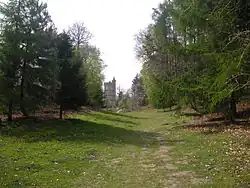 A colour photograph of a grassy track lined by evergreen trees, leading uphill to a four-storey brick tower