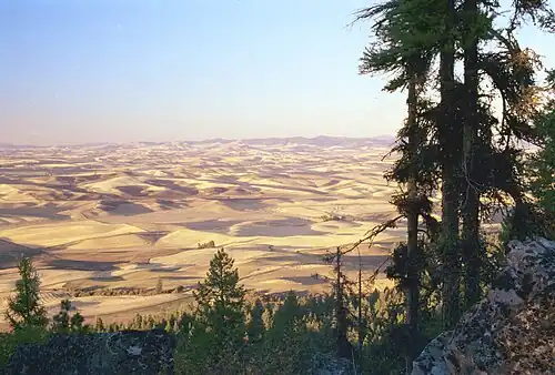 Palouse fields seen from Kamiak Butte, fall