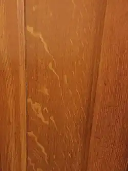 Door where the wood grain had been painted. This is a unique feature of the building, with all its pews, pillars and wooden molding having hand painted wood grain.