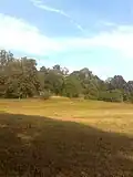 Park next to the palace