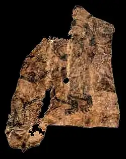 Tattoos of the chief's back and left arm.[237]