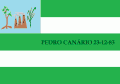 Flag of Pedro Canário