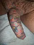 Penis