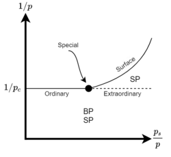 Different surface phase transitions can occur depending on the values of the bulk occupation probability "p" and the surface occupation probability "s of p".