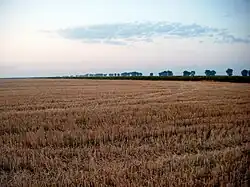 Agricultural landscape in Aranca Plain