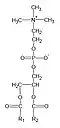 General structural formula of phosphatidylcholines​​​