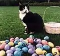 Socks with Easter eggs in 1994