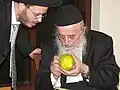 Rabbi Bergman re-examines an etrog for a student.